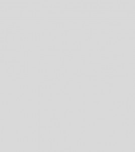 upload7532738756497642526